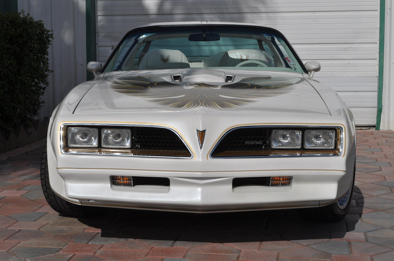 Trans Am Specialties Of Florida 